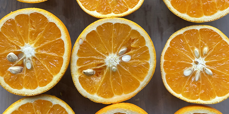 【東京都あきる野市】農薬不使用の清見オレンジを皮ごと使った贅沢フルーツビール、たんぽぽエール！